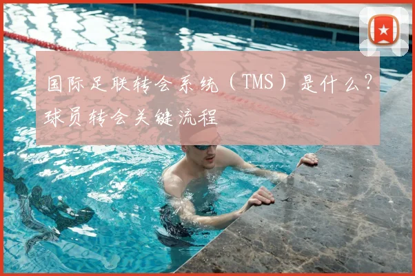 国际足联转会系统(TMS)是什么?球员转会关键流程