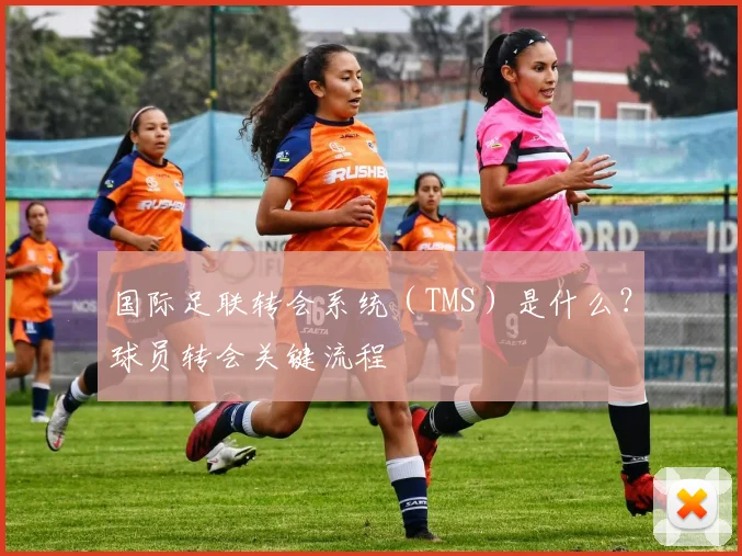 国际足联转会系统(TMS)是什么?球员转会关键流程